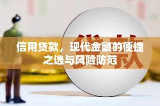 阜康信用贷款，现代金融的便捷之选与风险防范