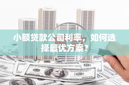 阜康小额贷款公司利率，如何选择最优方案？