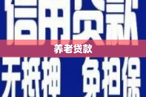 阜康养老贷款