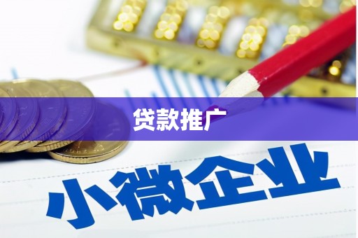 阜康贷款推广
