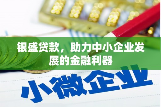 阜康银盛贷款，助力中小企业发展的金融利器
