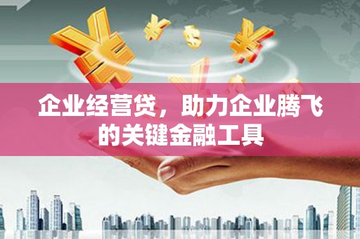 阜康企业经营贷，助力企业腾飞的关键金融工具