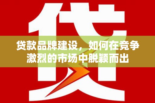 阜康贷款品牌建设，如何在竞争激烈的市场中脱颖而出