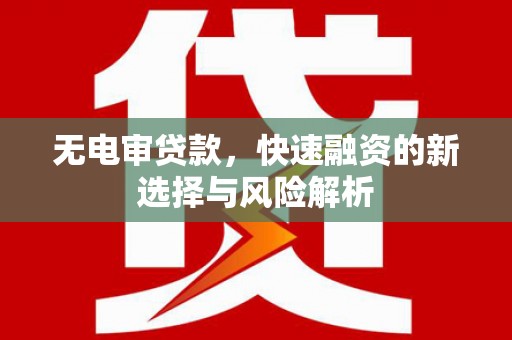 阜康无电审贷款，快速融资的新选择与风险解析