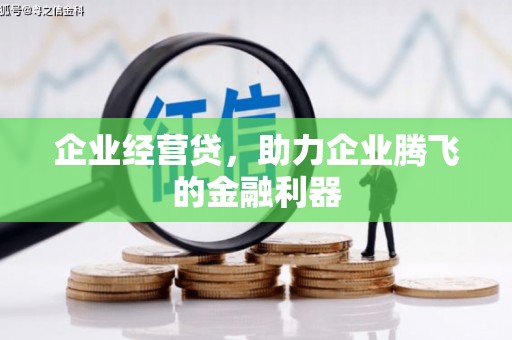 阜康企业经营贷，助力企业腾飞的金融利器
