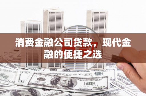 阜康消费金融公司贷款，现代金融的便捷之选