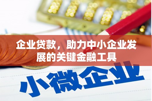 阜康企业贷款，助力中小企业发展的关键金融工具