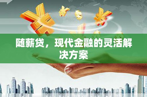 阜康随薪贷，现代金融的灵活解决方案