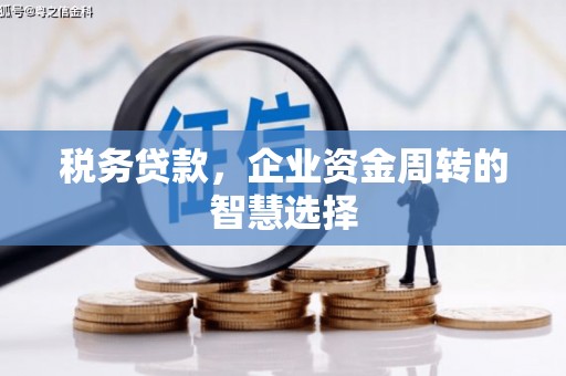 阜康税务贷款，企业资金周转的智慧选择