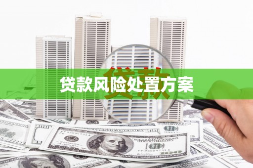 阜康贷款风险处置方案