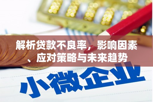 阜康解析贷款不良率，影响因素、应对策略与未来趋势