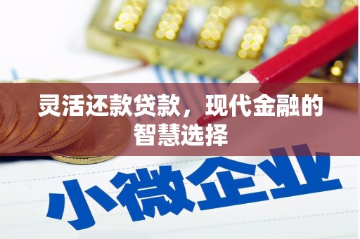 阜康灵活还款贷款，现代金融的智慧选择