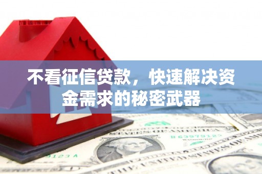 阜康不看征信贷款，快速解决资金需求的秘密武器
