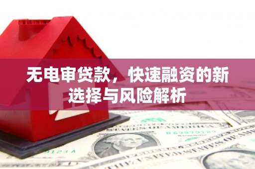 阜康无电审贷款，快速融资的新选择与风险解析