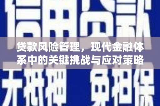 阜康贷款风险管理，现代金融体系中的关键挑战与应对策略