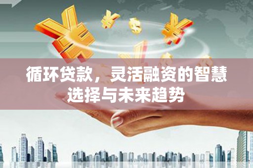 阜康循环贷款，灵活融资的智慧选择与未来趋势