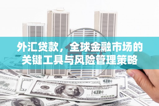 阜康外汇贷款，全球金融市场的关键工具与风险管理策略