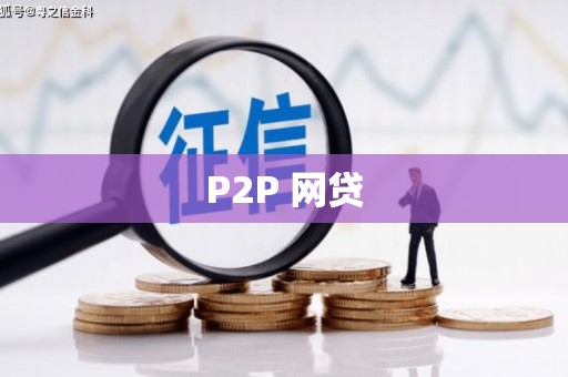 阜康P2P 网贷