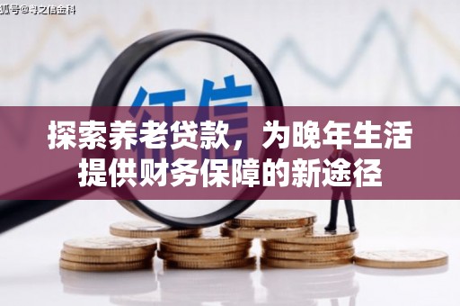 阜康探索养老贷款，为晚年生活提供财务保障的新途径