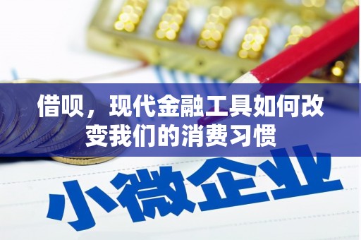 阜康借呗，现代金融工具如何改变我们的消费习惯