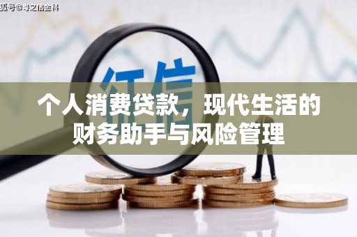 阜康个人消费贷款，现代生活的财务助手与风险管理