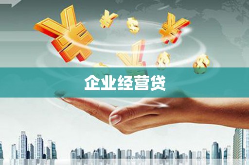 阜康企业经营贷