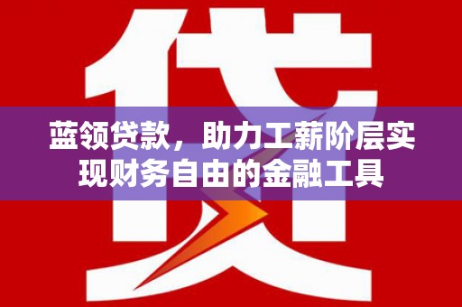 阜康蓝领贷款，助力工薪阶层实现财务自由的金融工具