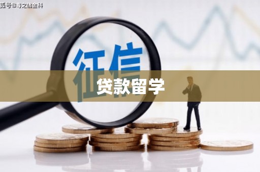 阜康贷款留学