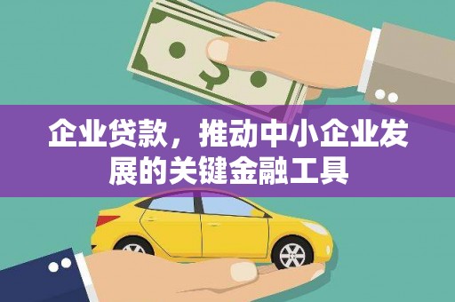 阜康企业贷款，推动中小企业发展的关键金融工具