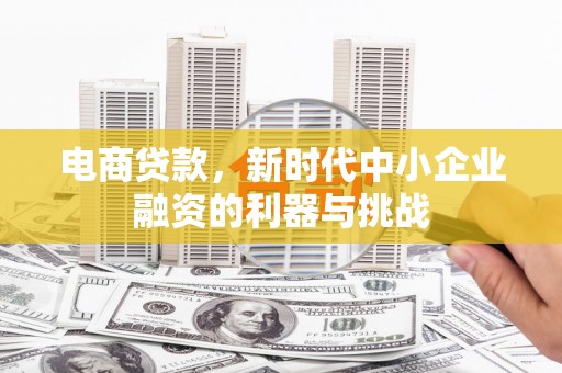 阜康电商贷款，新时代中小企业融资的利器与挑战