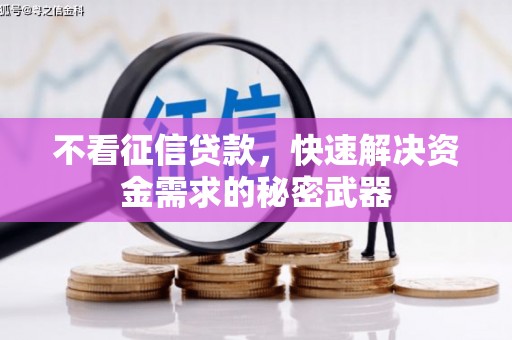 阜康不看征信贷款，快速解决资金需求的秘密武器