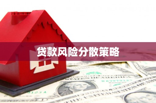 阜康贷款风险分散策略