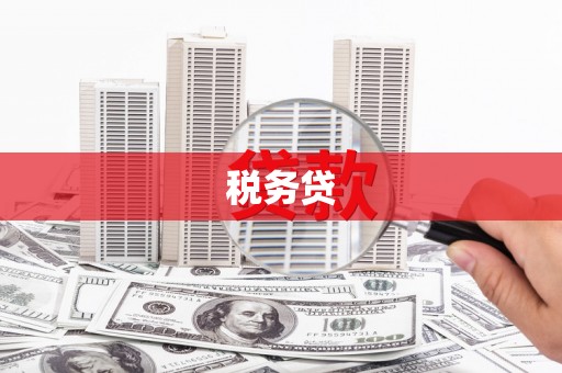 阜康税务贷