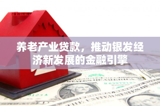 阜康养老产业贷款，推动银发经济新发展的金融引擎