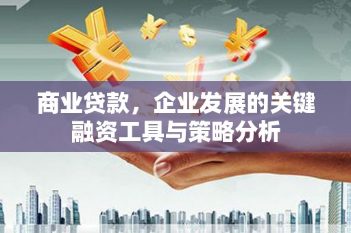 阜康商业贷款，企业发展的关键融资工具与策略分析