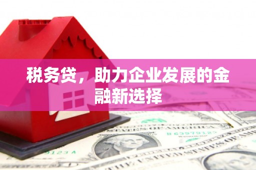 阜康税务贷，助力企业发展的金融新选择
