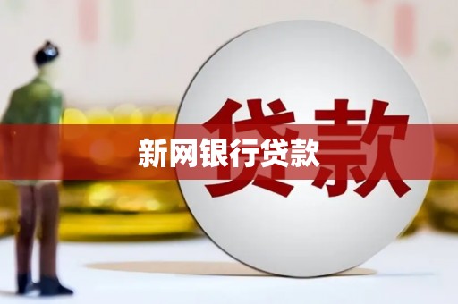 阜康新网银行贷款