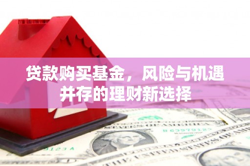 阜康贷款购买基金，风险与机遇并存的理财新选择