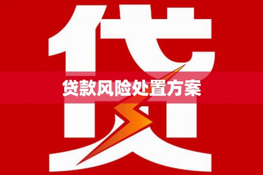 阜康贷款风险处置方案