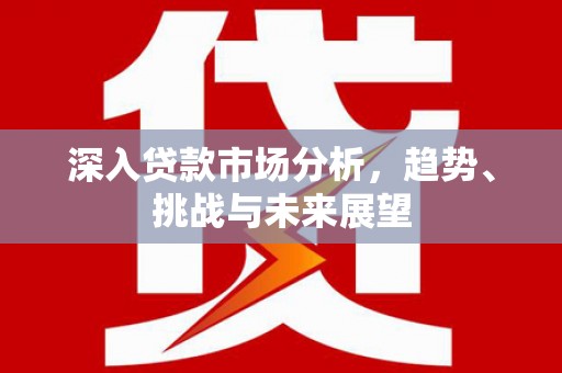 阜康深入贷款市场分析，趋势、挑战与未来展望