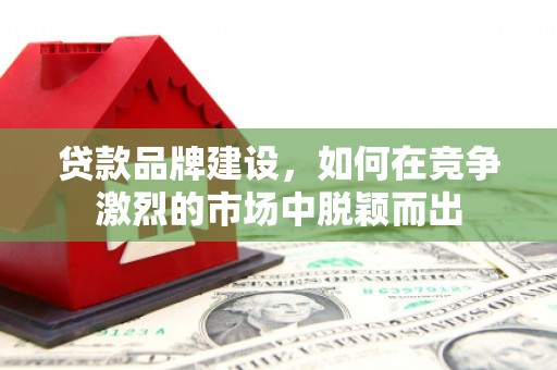 阜康贷款品牌建设，如何在竞争激烈的市场中脱颖而出