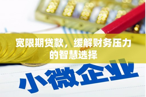 阜康宽限期贷款，缓解财务压力的智慧选择