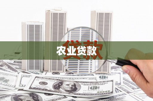 阜康农业贷款