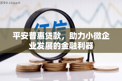阜康平安普惠贷款，助力小微企业发展的金融利器
