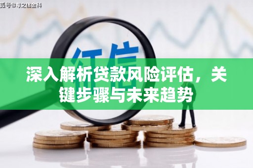 阜康深入解析贷款风险评估，关键步骤与未来趋势
