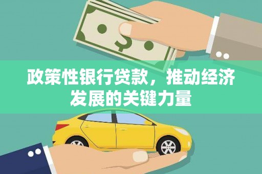 阜康政策性银行贷款，推动经济发展的关键力量