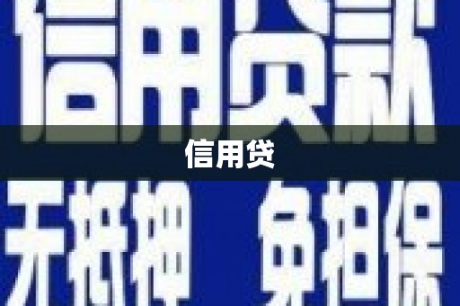 阜康信用贷
