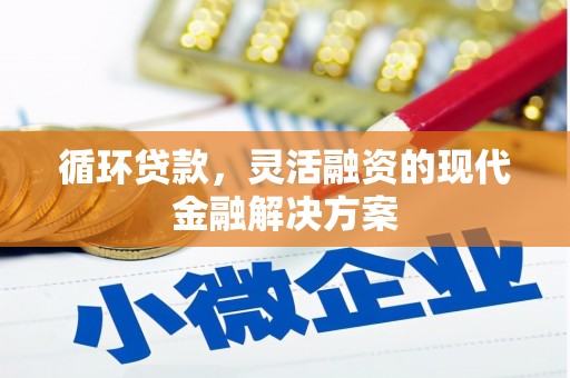 阜康循环贷款，灵活融资的现代金融解决方案