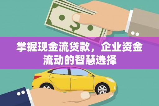 阜康掌握现金流贷款，企业资金流动的智慧选择