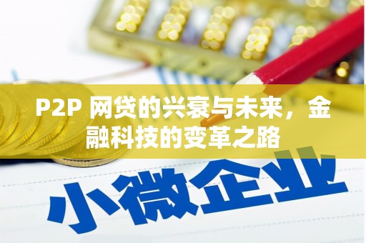 阜康P2P 网贷的兴衰与未来，金融科技的变革之路
